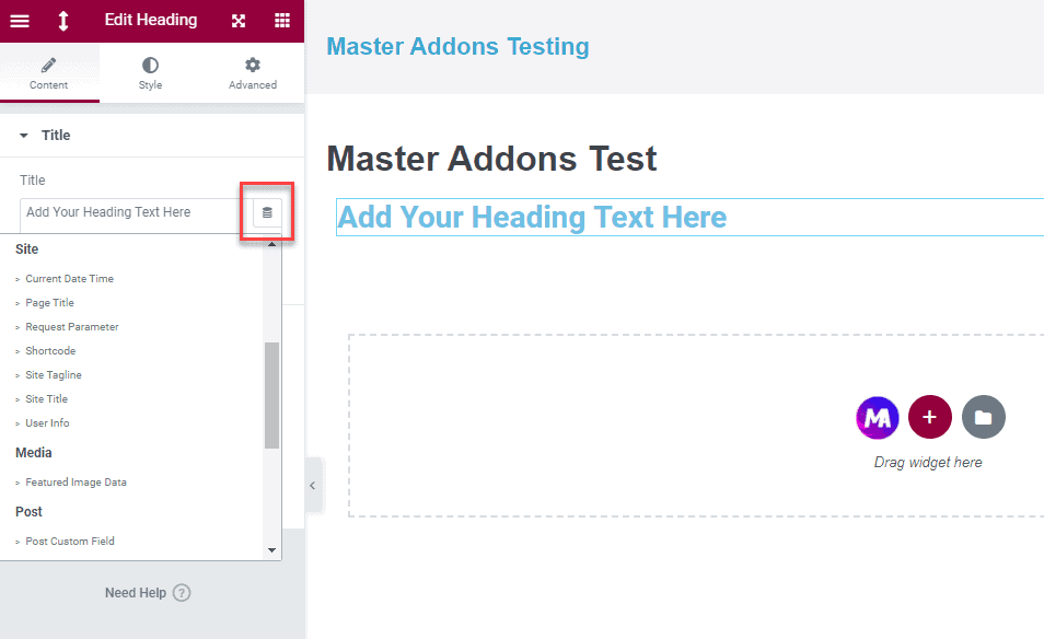 Master Addons Dynamic Tags
