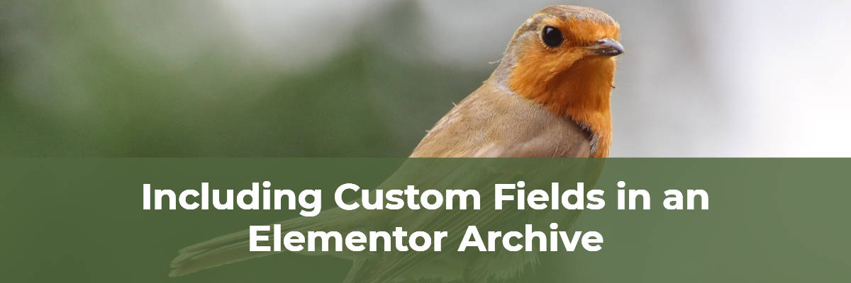 Custom Fields In Elementor Archive