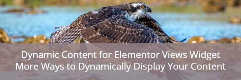 Dynamic Content for Elementor Views Widget – More Ways to Dynamically Display Your Content