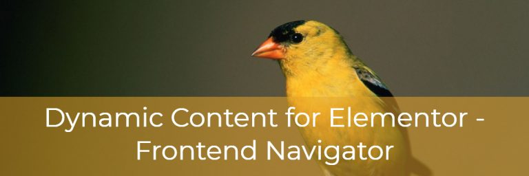 Dynamic Content for Elementor – Frontend Navigator