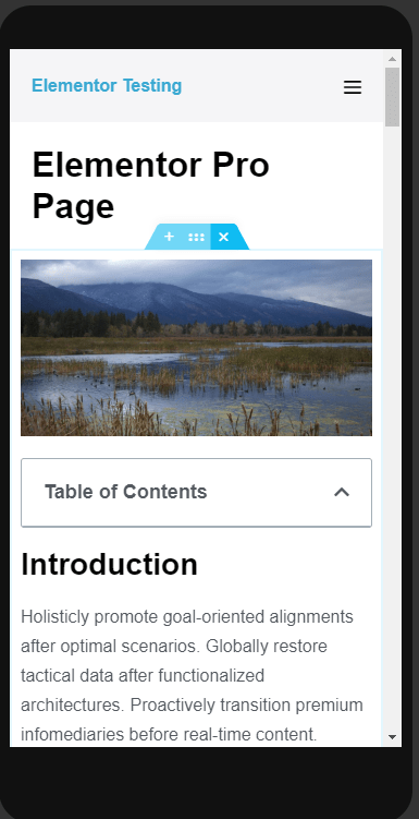 Elementor Pro Toc Mobile