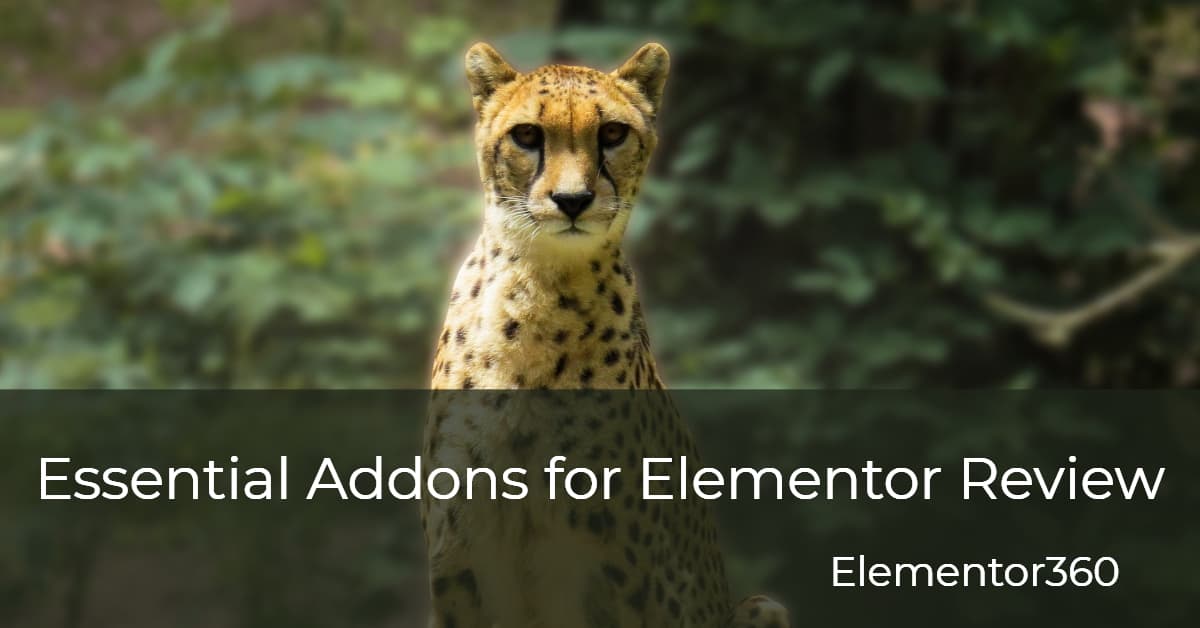 Typeform  Essential Addons for Elementor