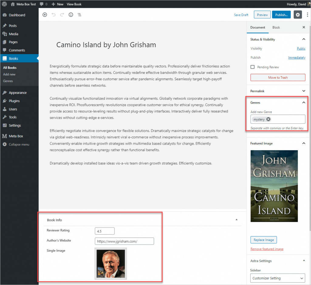 A Book Record In Editor