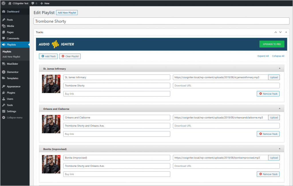 Audioigniter Playlist In The WordPress Admin