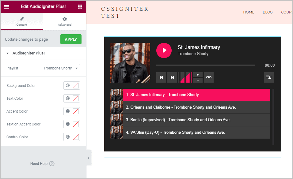Audioigniter Settings In Elementor