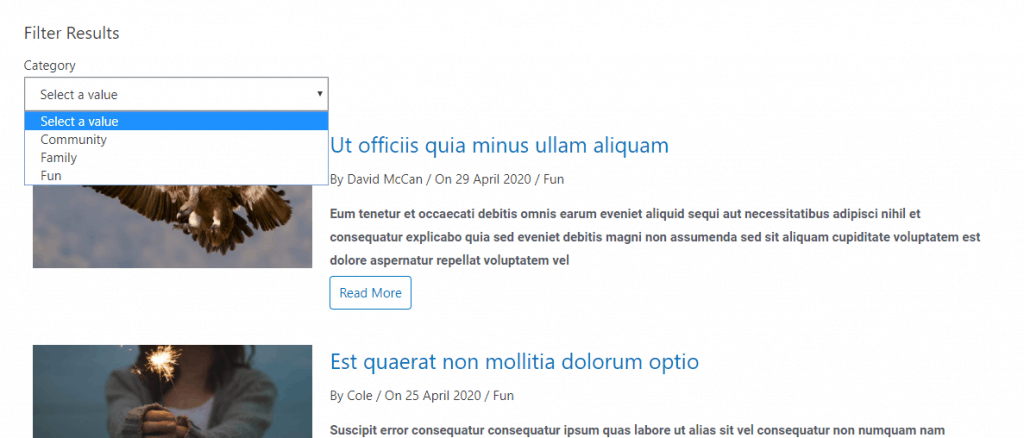 Categories Drop Down On Front End