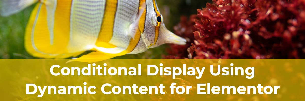 conditional display using dynamic content for elementor