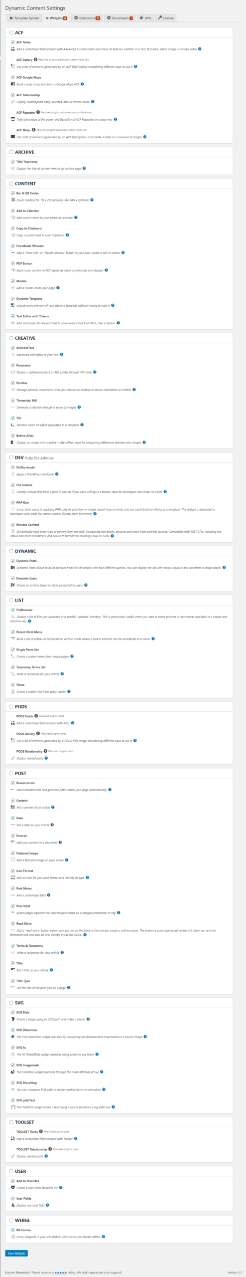 Dynamic Content Settings - Widgets