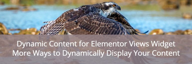 Dynamic Content for Elementor Views Widget
