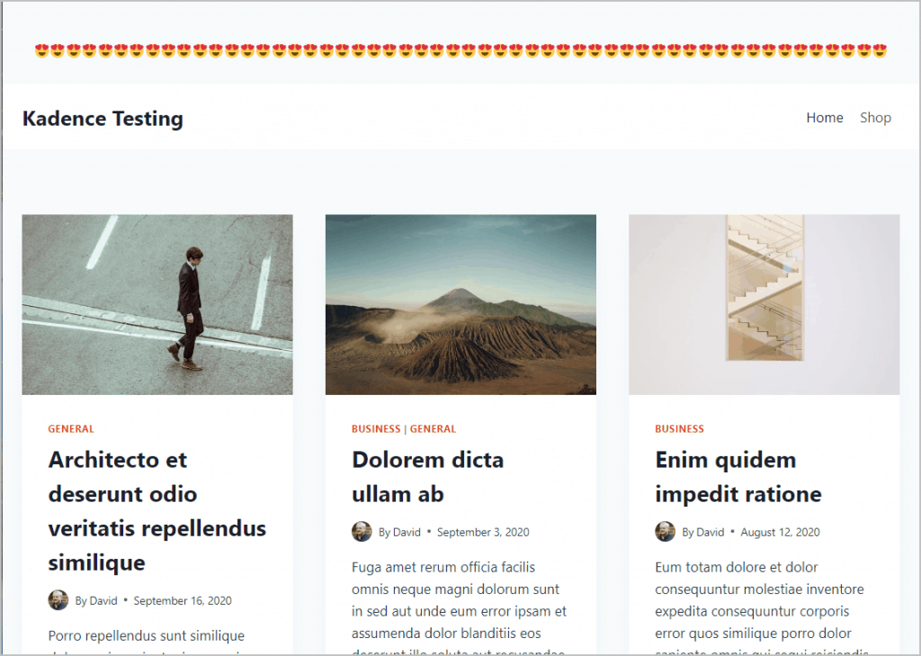 Displayed On The Front