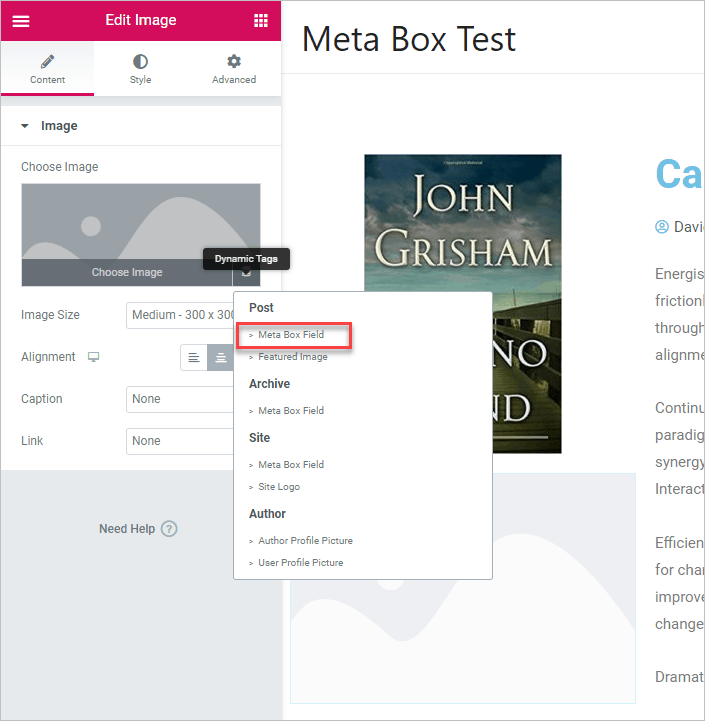 Dynaimc Tag Meta Box Field Option