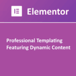elementor pro solution