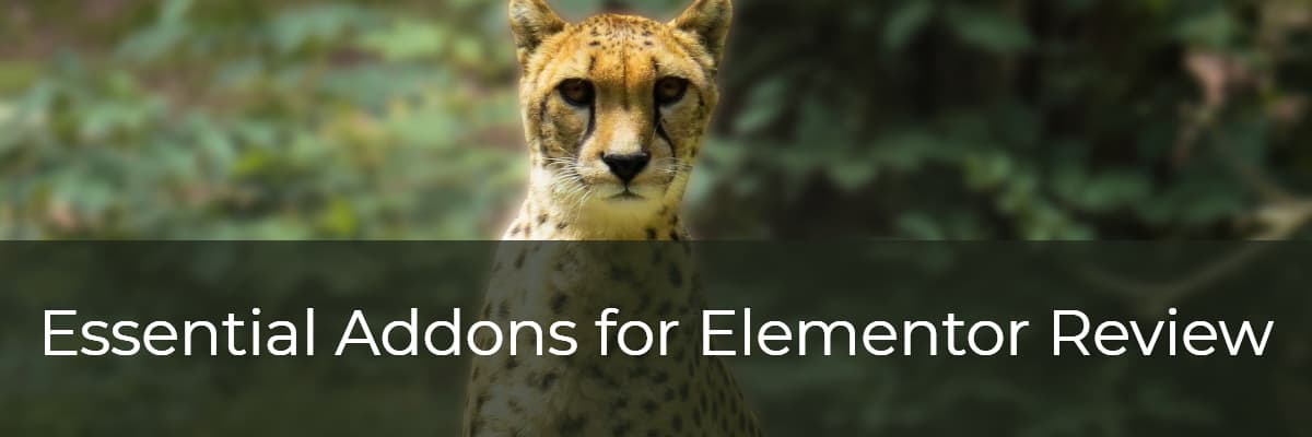 Essential Addons Review