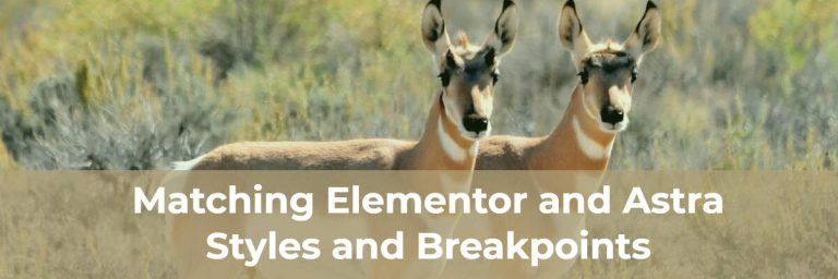 match elementor and astra settings