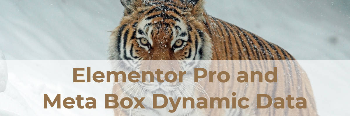 Elementor Pro and Meta Box Dynamic Data