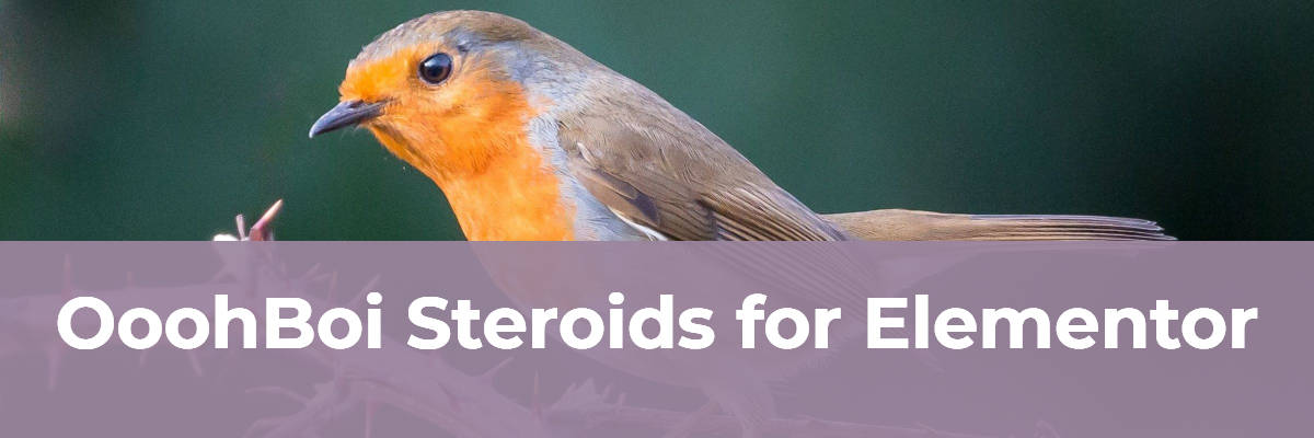 Oohboi Steriods For Elementor