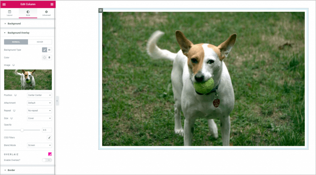 Overlaiz Background Image 1