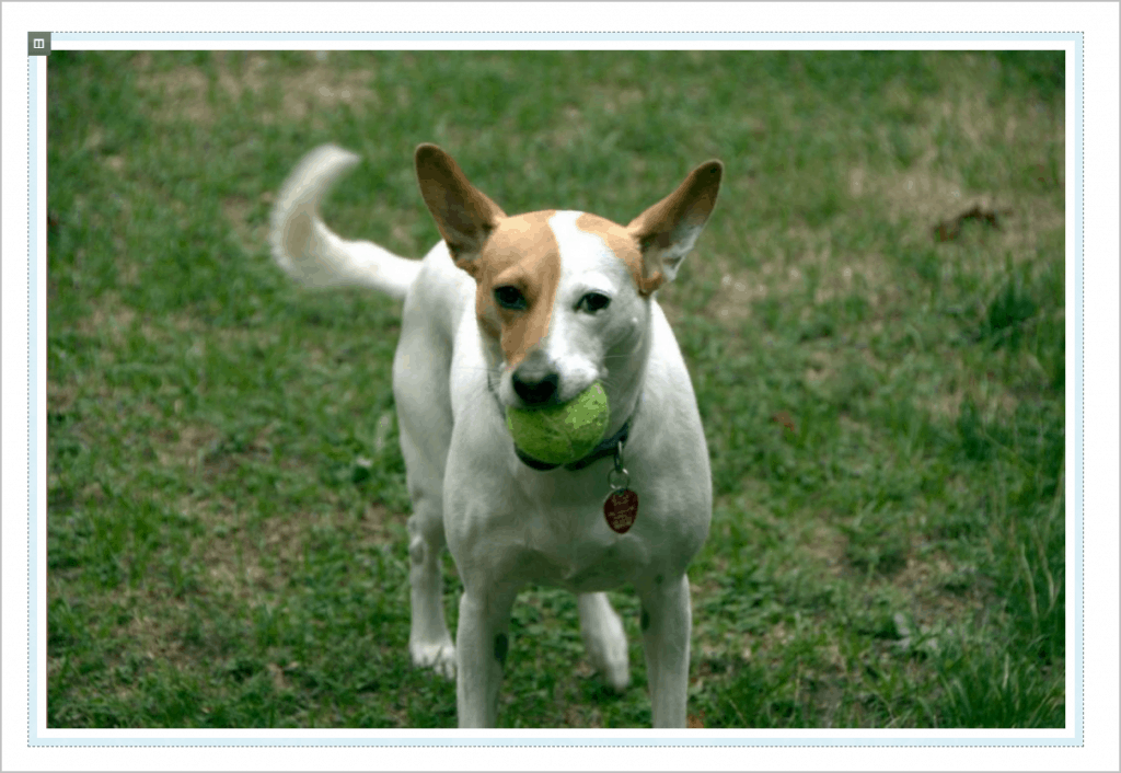 Overlaiz Image In Single Column