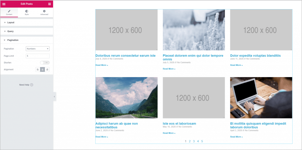 Paginini Posts Widget With Default Pagination 1