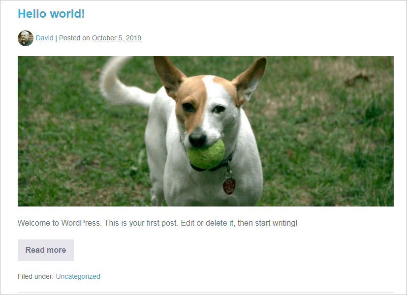 page builder framework archive with image on top