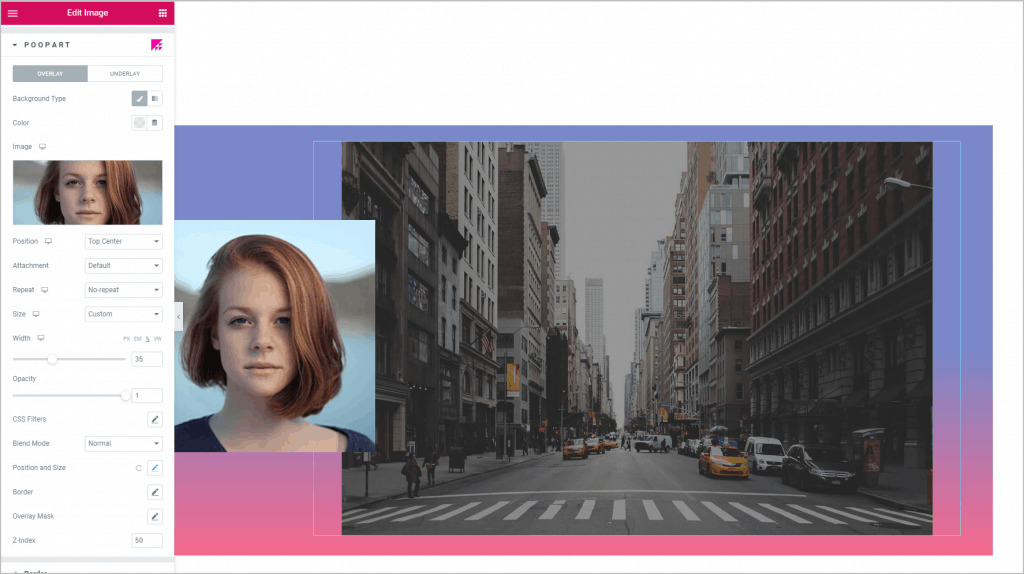 Poopart Overlay Settings 1