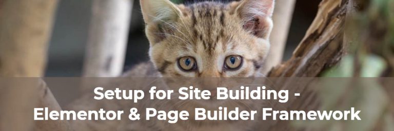 Setup For Site Building Elementor And Page Builder Framework