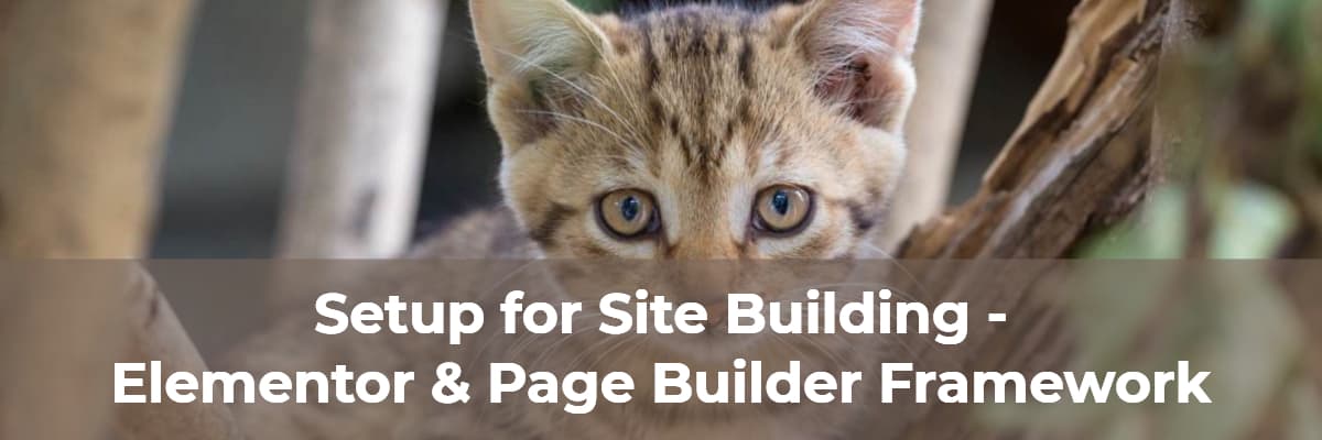 Setup For Site Building Elementor And Page Builder Framework