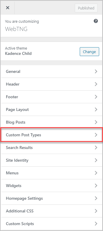 Top Level Of Customizer Link For Custom Post Types